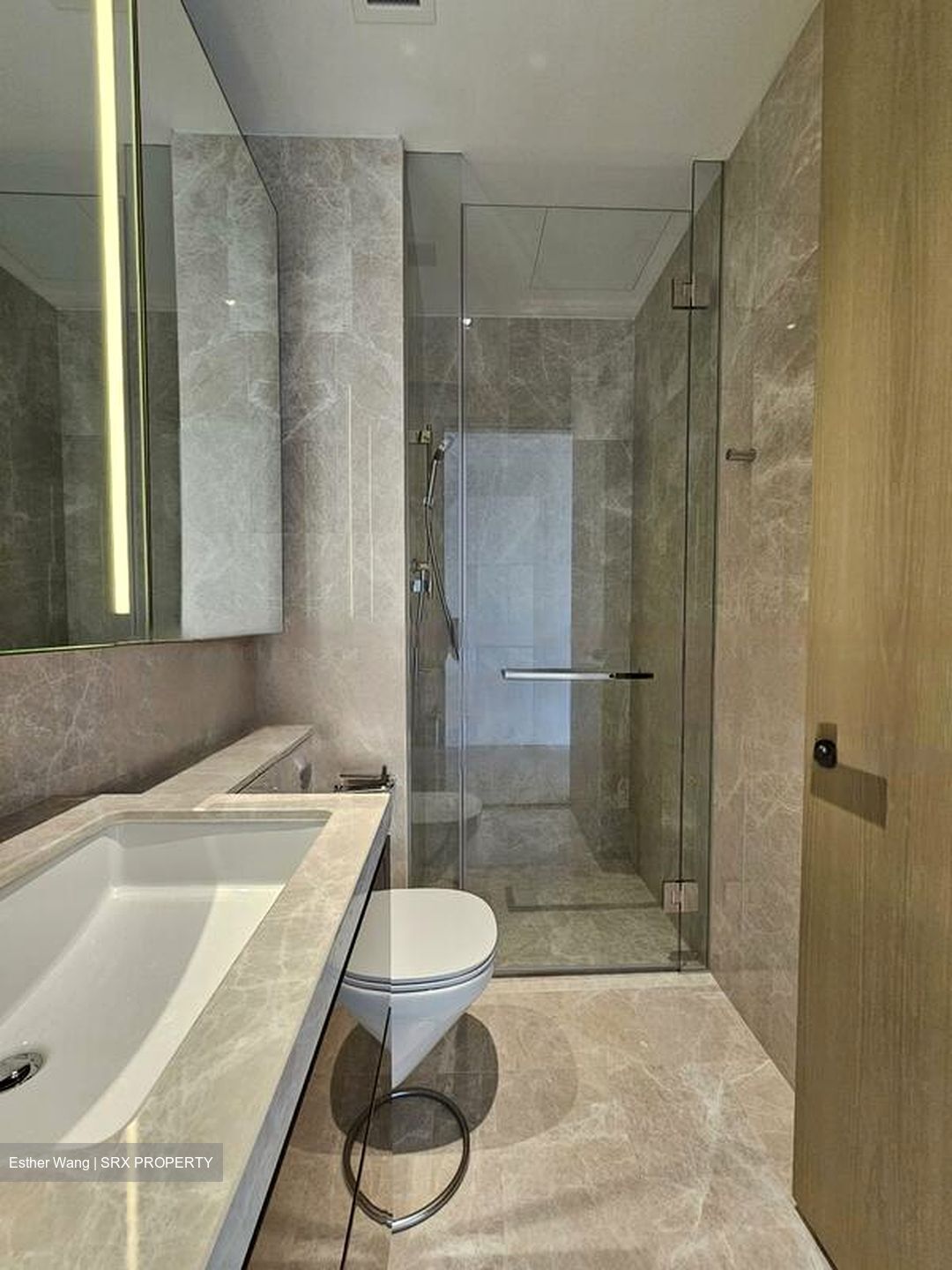 Klimt Cairnhill (D9), Apartment #451482411